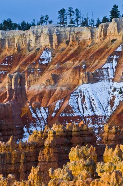 Utah Snowy hoodoo formations in Bryce Canyon NP